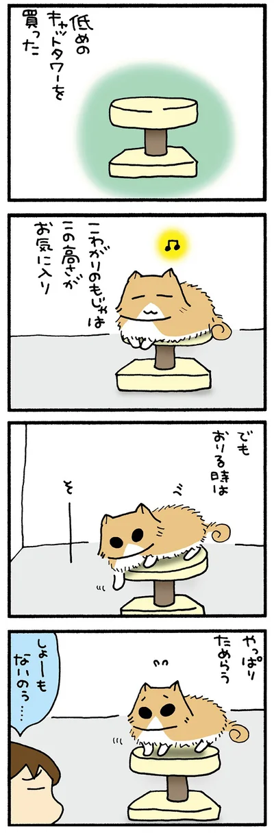 低いのに…