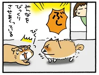 ねこが突然くしゃみを連発！ 本人よりも周りがビックリ!?／うちの3ねこ（57）