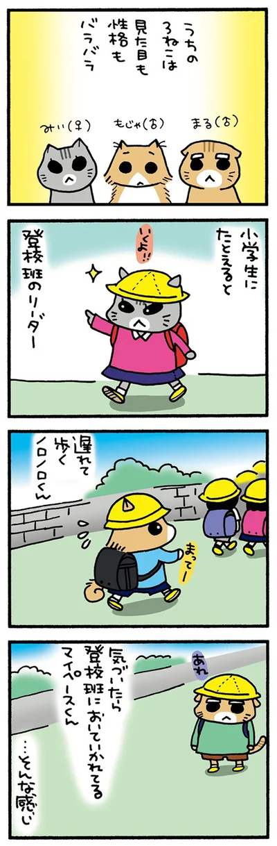 うちの3ねこ
