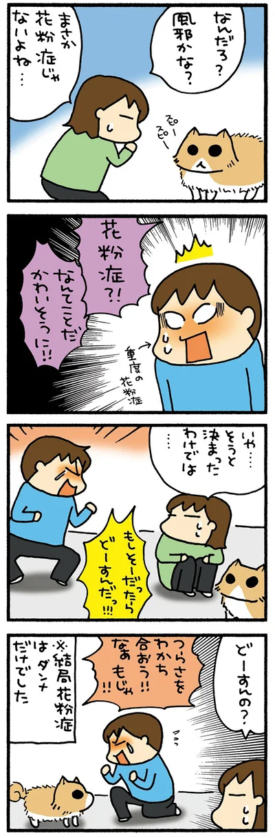 同情されるもじゃ