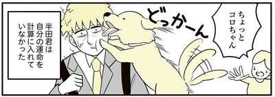 ちょっとコロちゃん