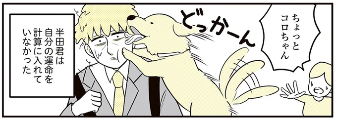 ちょっとコロちゃん