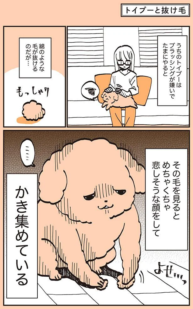 綿のような毛が抜けるのだが…