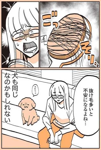 犬も同じなのかも