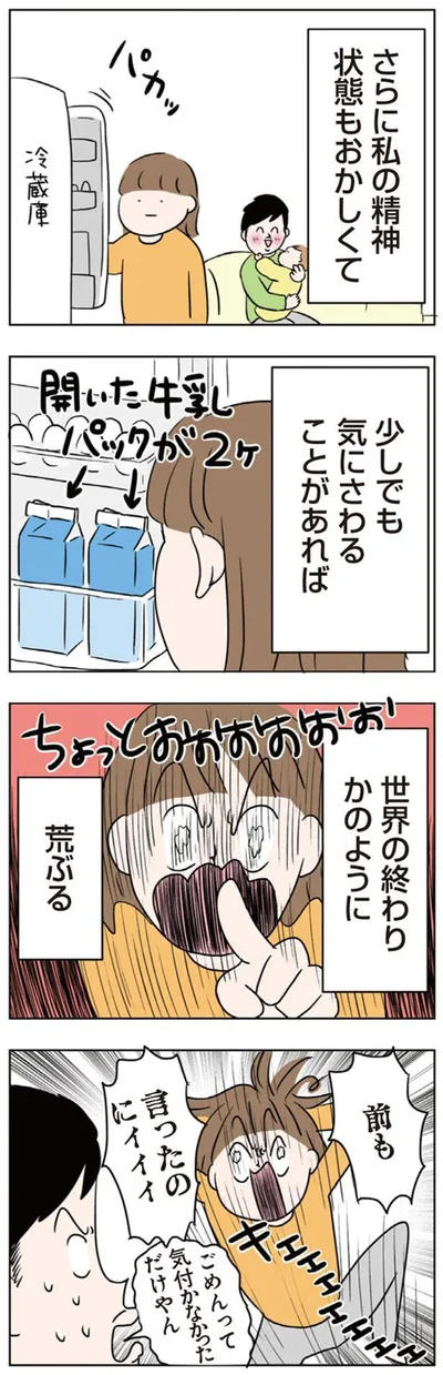 私の精神状態もおかしくて