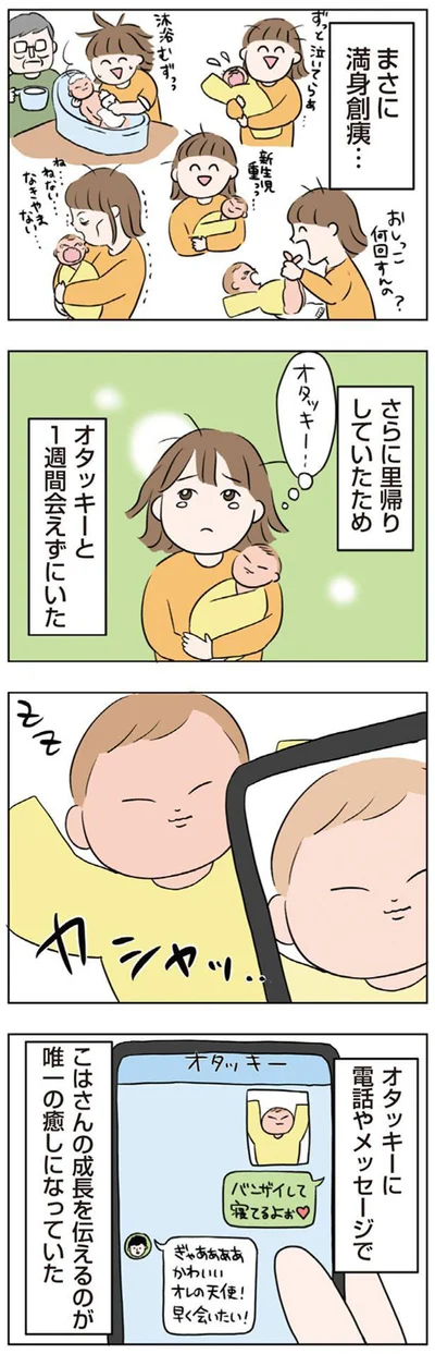 唯一の癒し