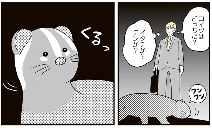 どっちだ？