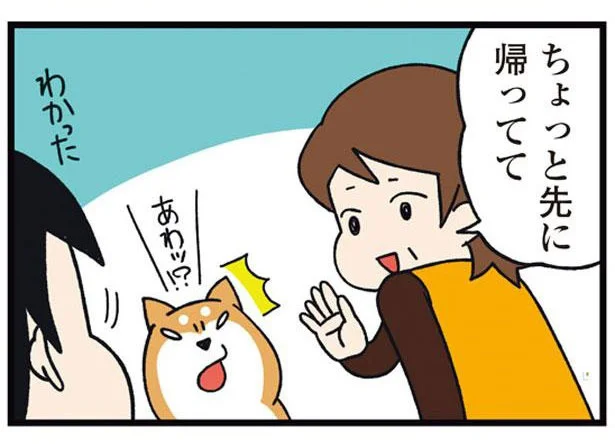 散歩中の井戸端会議。母想いの柴犬が見せた行動とは／ドヤ顔柴犬どんぐり2（3）
