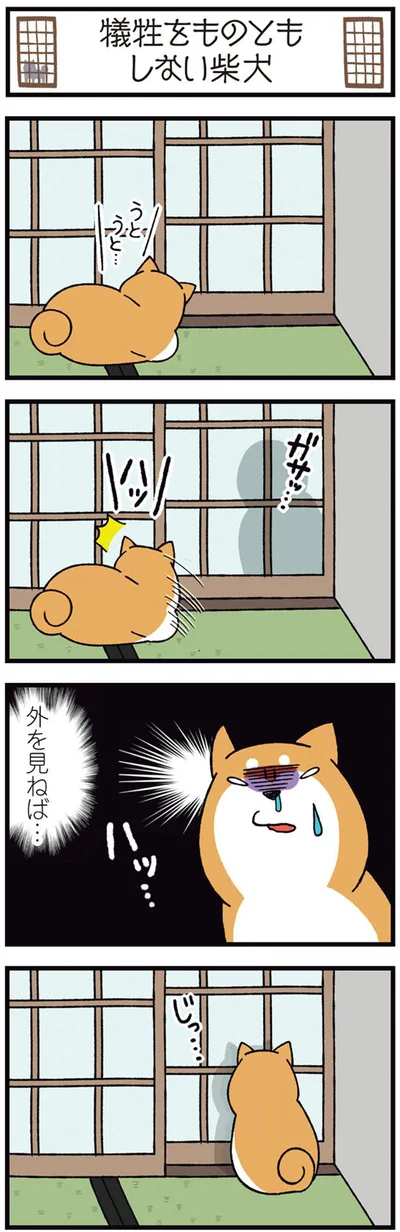 外を見ねば…