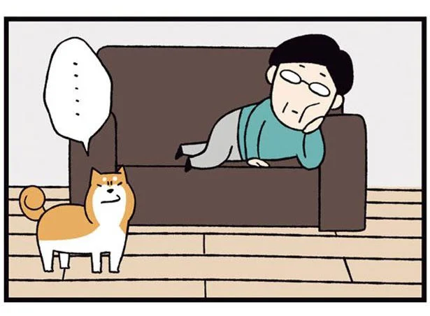 ソファの定位置に父がごろり。ポジション争いのために柴犬がとった作戦とは／ドヤ顔柴犬どんぐり2（5）