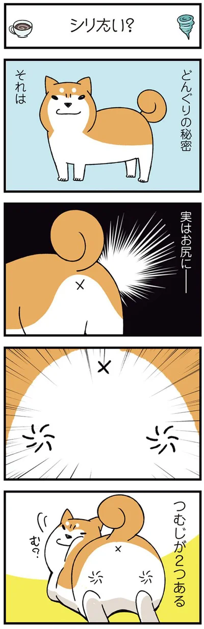 どんぐりの秘密