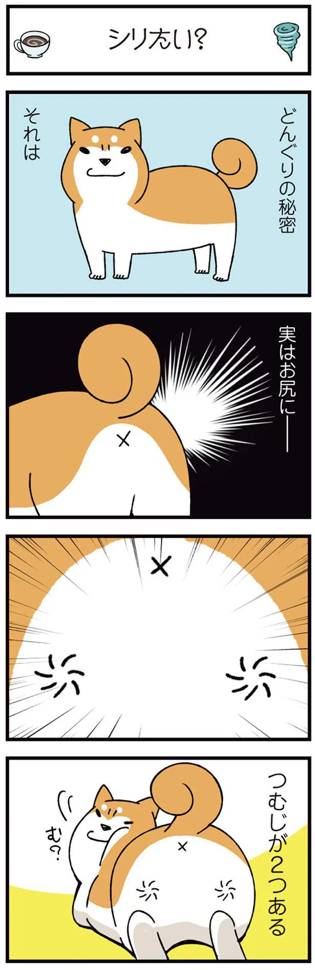 どんぐりの秘密
