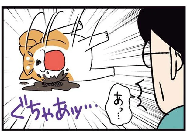 「やっちまいました」やらかす柴犬×詰めの甘い父。掛け合わせると大惨事に！／ドヤ顔柴犬どんぐり2（11）