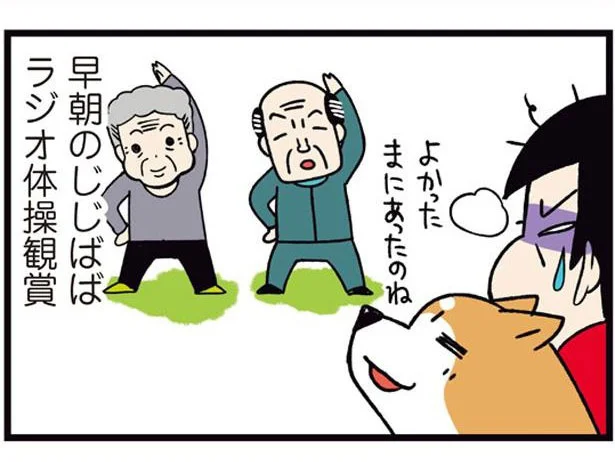独特な観賞スタイルに飼い主困惑。ラジオ体操が大好きな柴犬／ドヤ顔柴犬どんぐり2（12）