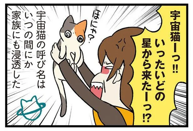 こんなに通じ合えないなんて！家族にも浸透した「宇宙猫」呼びの由来／うちう猫と柴犬（6）