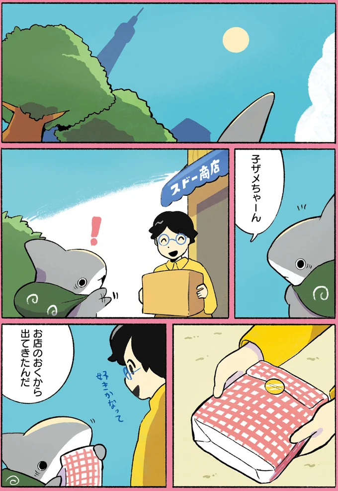 子ザメちゃーん