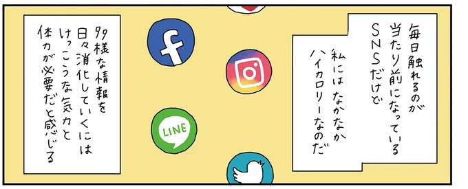 SNSは私にはハイカロリー