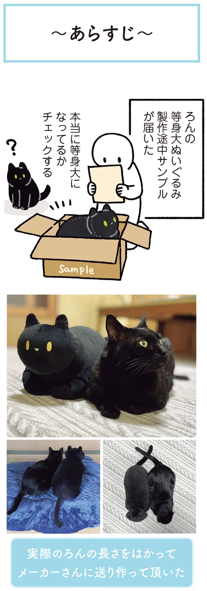モデル猫の反応はいかに？大きな猫のぬいぐるみがやってきた！／黒猫ろ