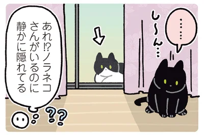 あれ！？ノラネコさんがいるのに静かに隠れてる