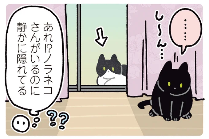 あれ！？ノラネコさんがいるのに静かに隠れてる