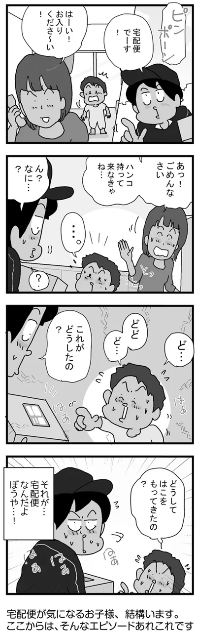 どうして　はこをもってきたの？
