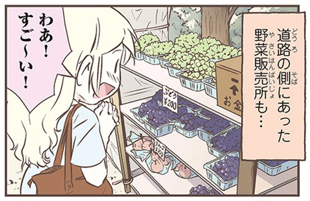 「お金はこちらへ」って日本凄すぎない!?スウェーデン人漫画家が旅先で見た驚愕の光景／北欧女子オーサのニッポン再発見ローカル旅（1）