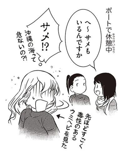 サメ！？