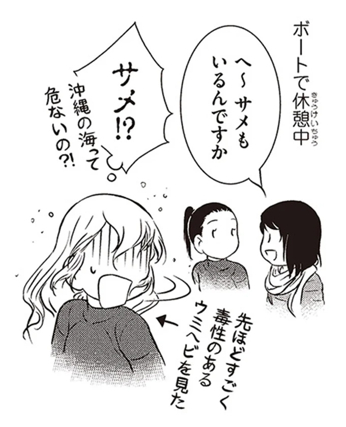 サメ！？