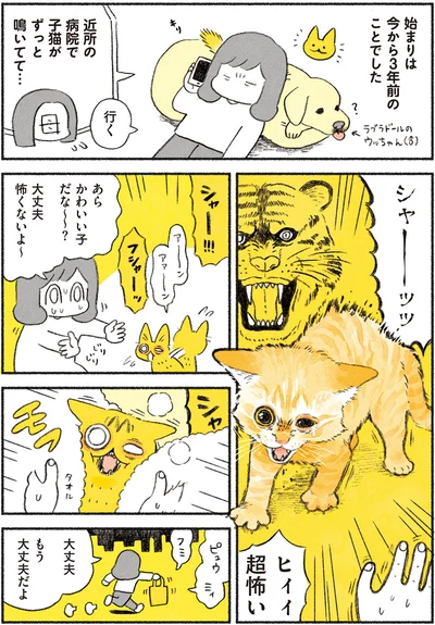 やっちゃんとの出会い