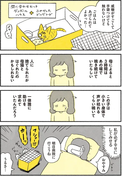 私が必ず幸せにしてみせる…！