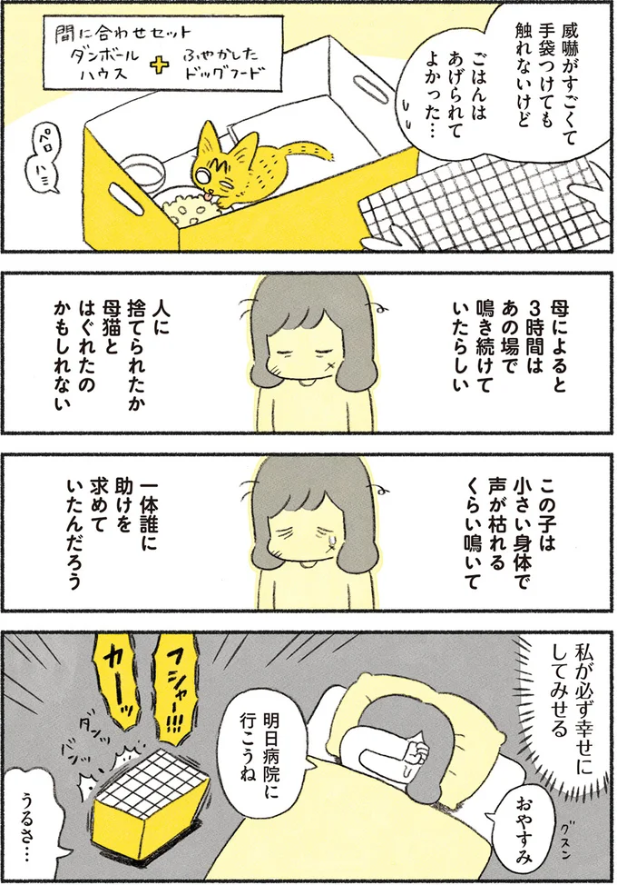 私が必ず幸せにしてみせる…！