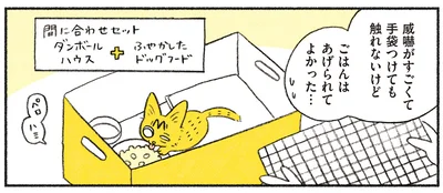 出会った時のやっちゃん