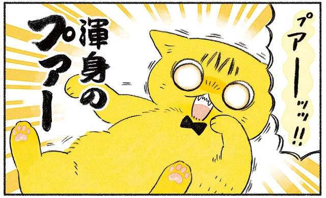 幼児っぽすぎてママになっちゃう!? 我が家の猫が大変愛おしいんです／茶トラのやっちゃんとちーちゃん（1）