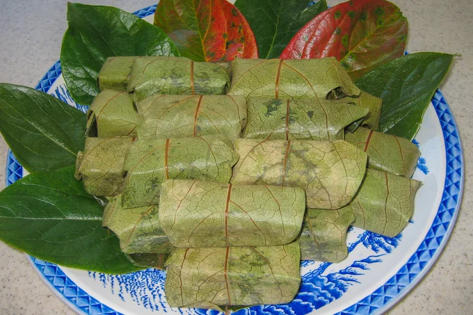 和歌山県の郷土料理「柿の葉寿司」