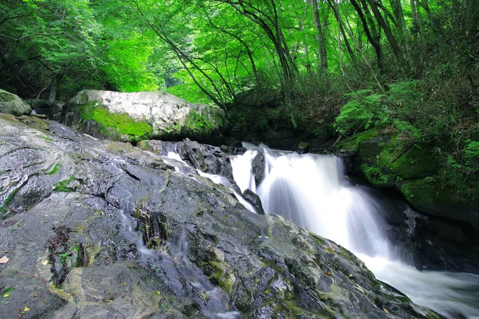  福島県東白川郡鮫川村の江竜田の滝