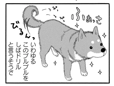 しばドリル