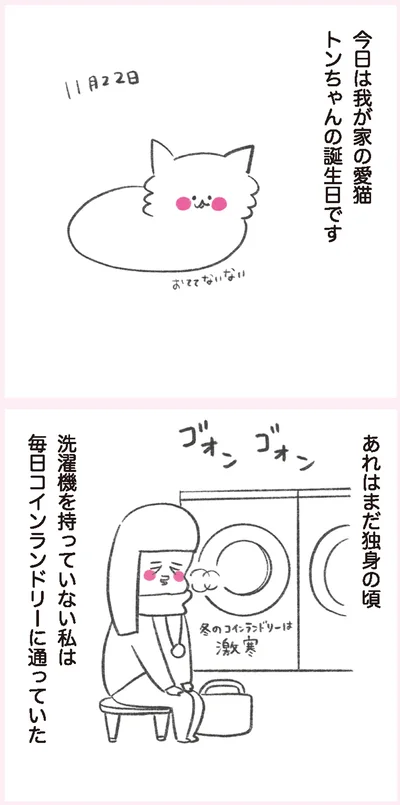 我が家の愛猫