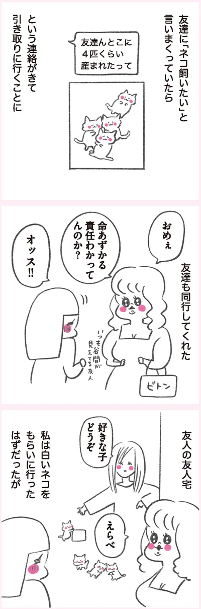ネコ飼いたい