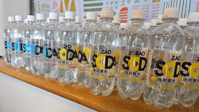 【神コスパ】1本50円台の炭酸水を"超"大量注文してみた！お味もバッチリ、夏はコレ一択！