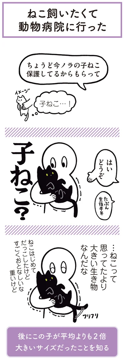 子ねこ？