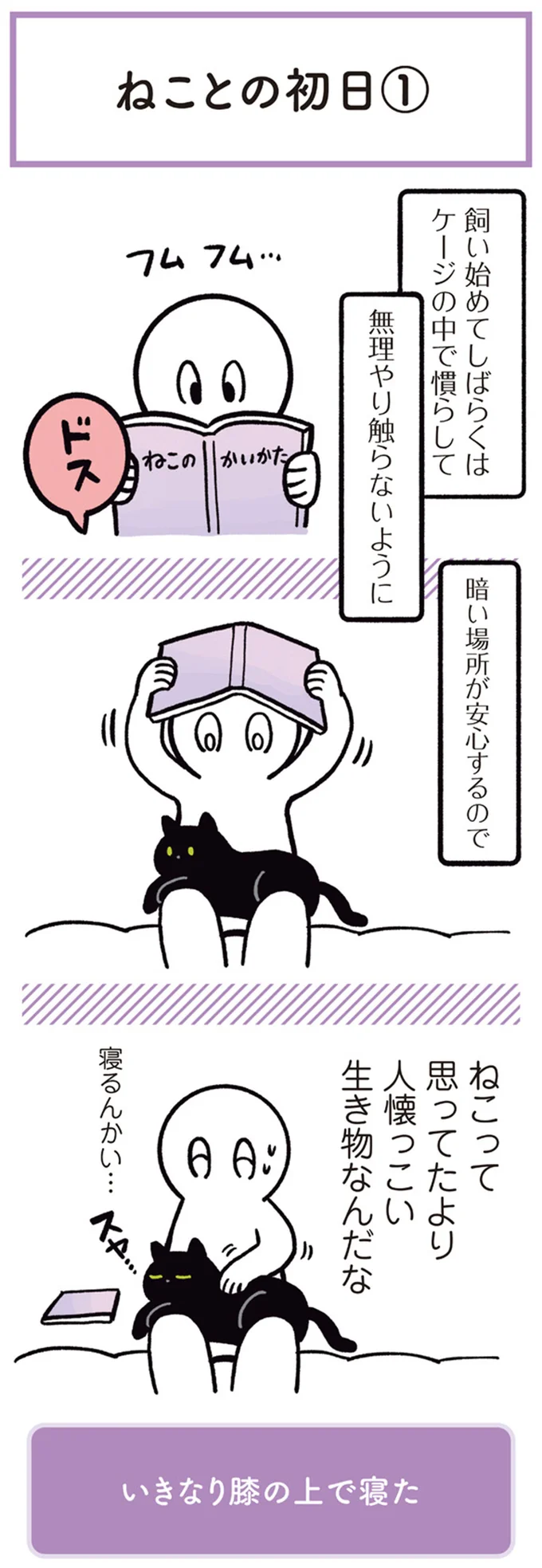 ねこって思ってたより人懐っこい生き物なんだな