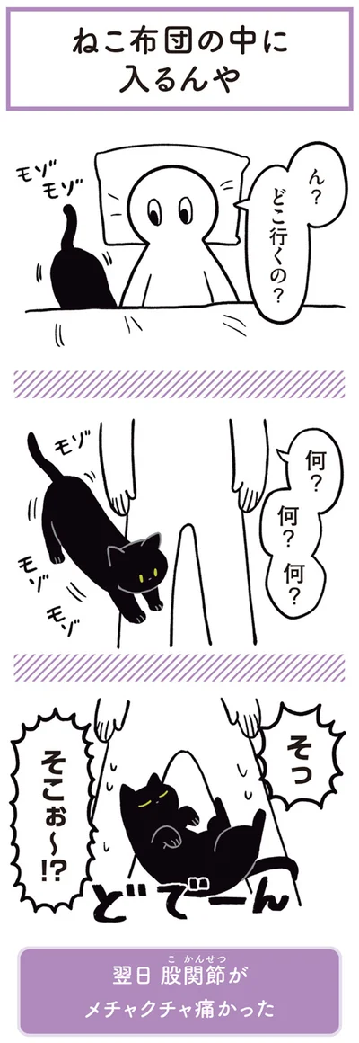 ん？どこ行くの？