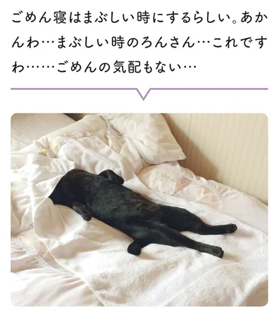 ごめんの気配もない…