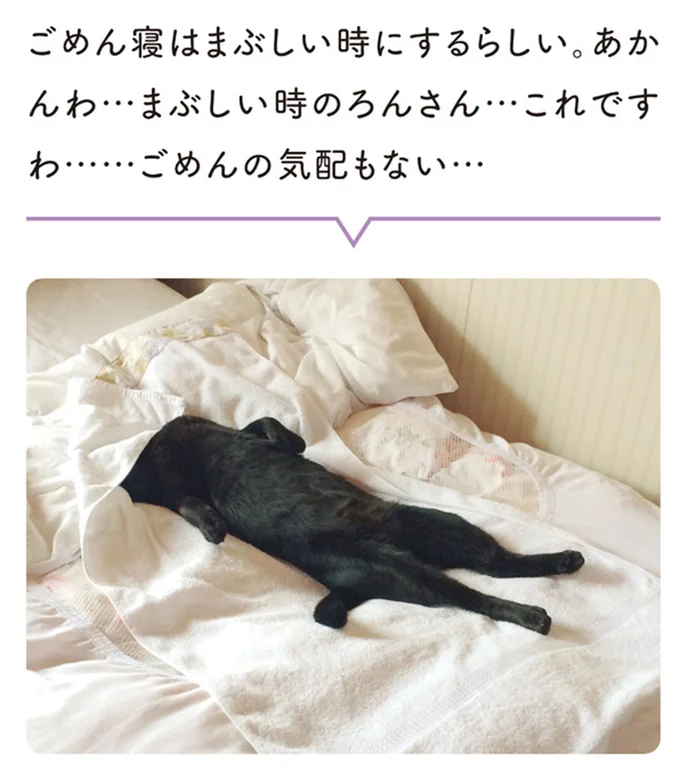 ごめんの気配もない…