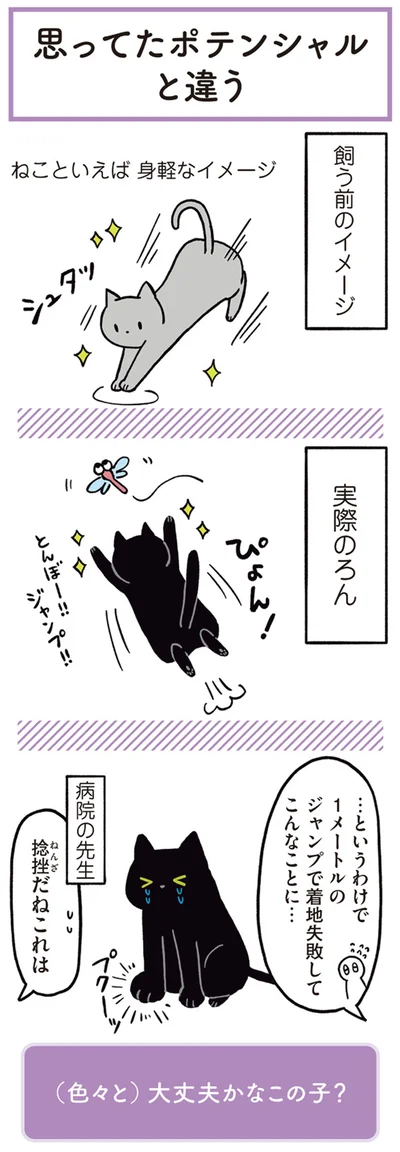 ねこといえば身軽なイメージ