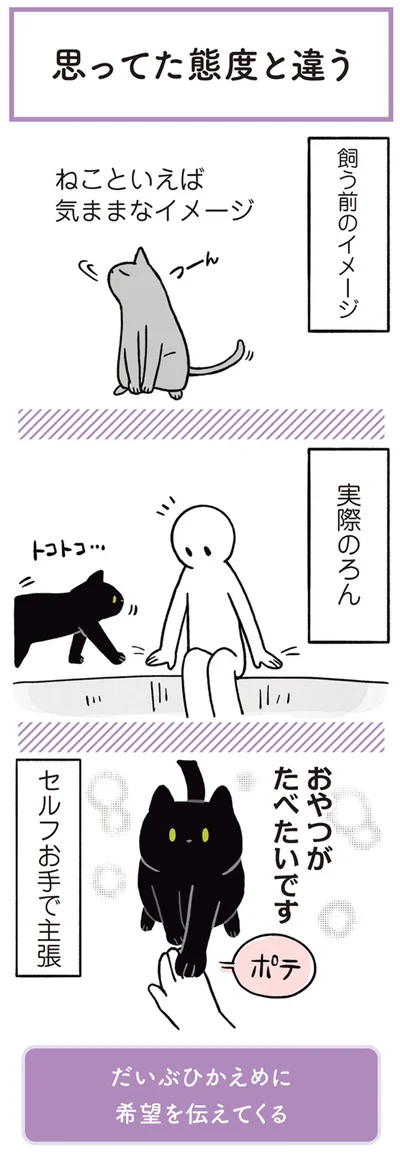 ねこといえば気ままなイメージ