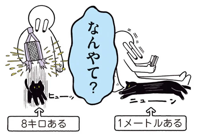 なんやて?