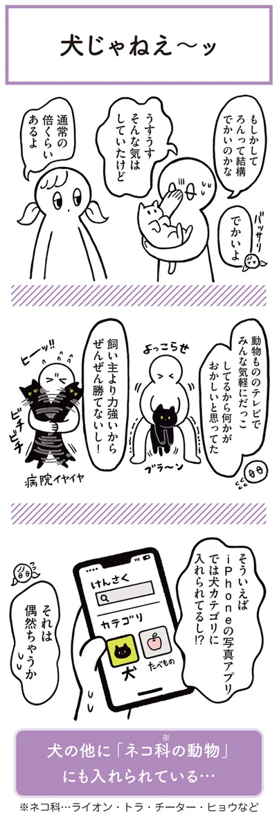 うすうすそんな気はしていたけど