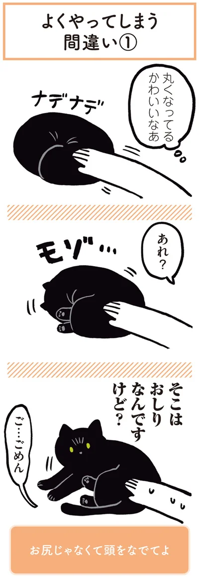 丸くなってる　かわいいなあ