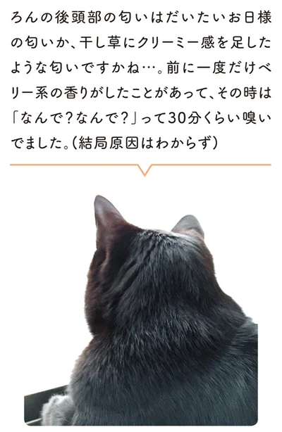 ろんの後頭部の匂いはだいたいお日様の匂いか、干し草にクリーミー感を足したような匂いですかね…